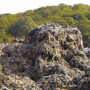 درخواست رسیدگی به وضعیت زباله سراوان؛ بزرگ‌ترین آلودگی محیط زیست گیلان